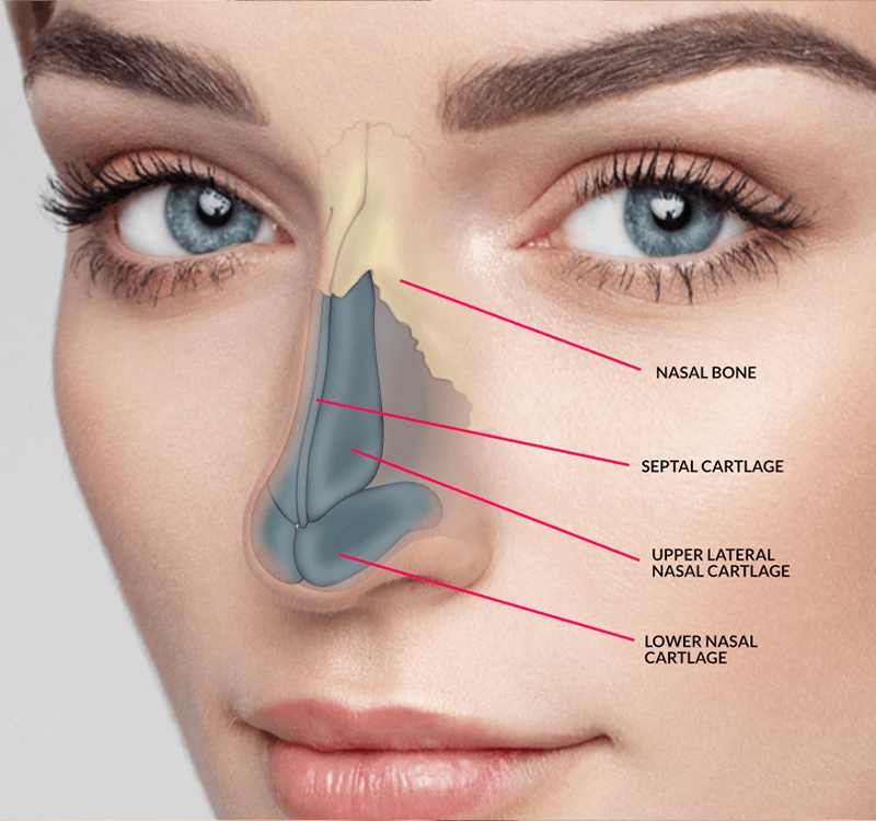 rhinoplasty-non-surgical-surgical-img1-bbac